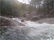 Wilsons Creek 118